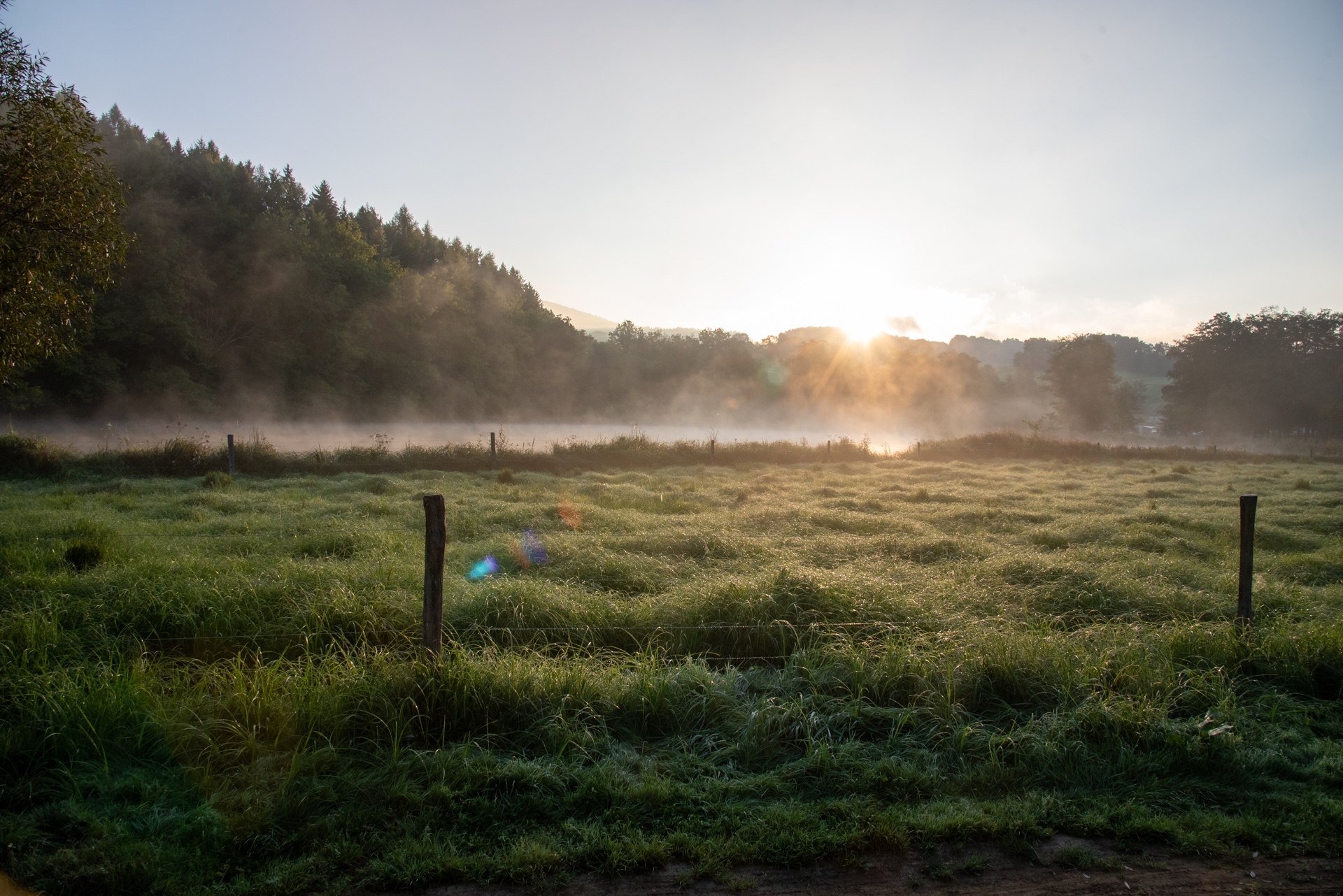 camping-hoellensteinsee-5-1-header