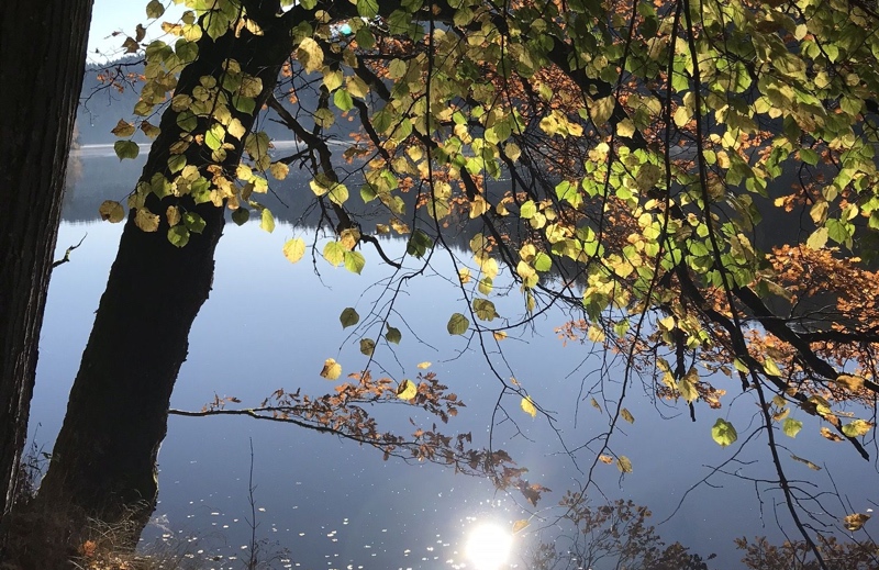 camping-hoellensteinsee-3-9-tipp-1-a-v2