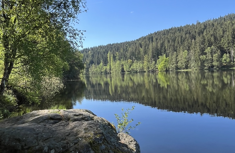 camping-hoellensteinsee-3-9-tipp-2-v2