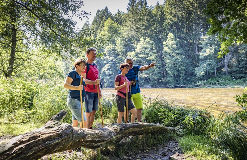 camping-hoellensteinsee-3-9-tipp-3