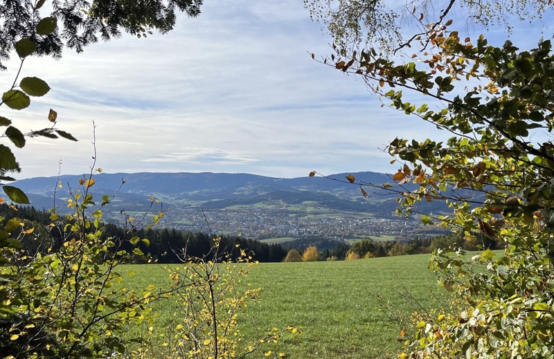 camping-hoellensteinsee-3-9-tipp-4-v2